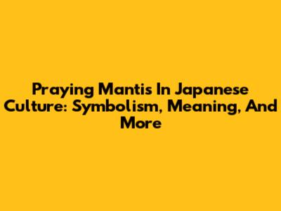 Praying Mantis In Japanese Culture: Symbolism, Meaning, And More