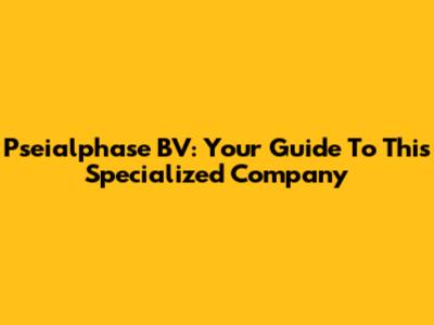 Pseialphase BV: Your Guide To This Specialized Company