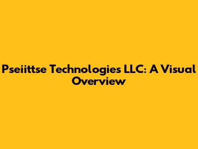 Pseiittse Technologies LLC: A Visual Overview