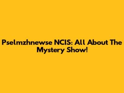 Pselmzhnewse NCIS: All About The Mystery Show!