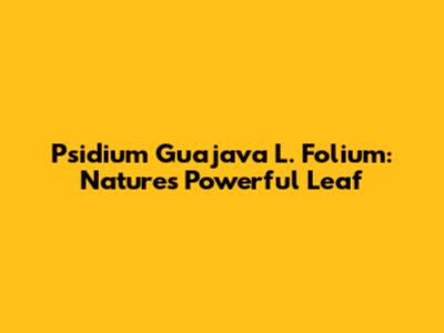 Psidium Guajava L. Folium: Nature's Powerful Leaf