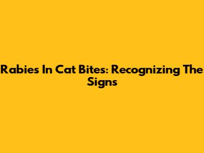 Rabies In Cat Bites: Recognizing The Signs