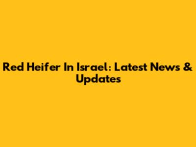 Red Heifer In Israel: Latest News & Updates