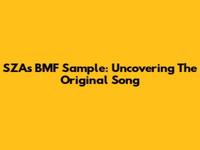 SZA's BMF Sample: Uncovering The Original Song