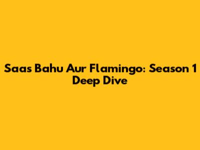 Saas Bahu Aur Flamingo: Season 1 Deep Dive