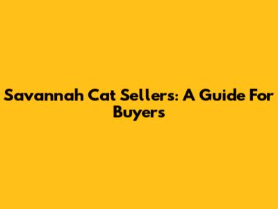 Savannah Cat Sellers: A Guide For Buyers