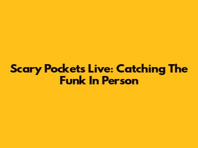 Scary Pockets Live: Catching The Funk In Person
