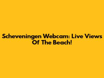 Scheveningen Webcam: Live Views Of The Beach!