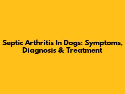 Septic Arthritis In Dogs: Symptoms, Diagnosis & Treatment
