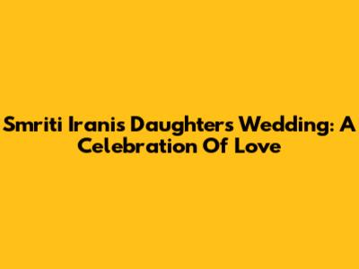 Smriti Irani's Daughter's Wedding: A Celebration Of Love