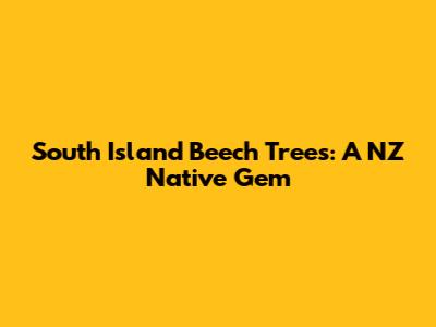 South Island Beech Trees: A NZ Native Gem