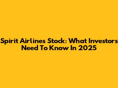 Spirit Airlines Stock: What Investors Need To Know In 2025