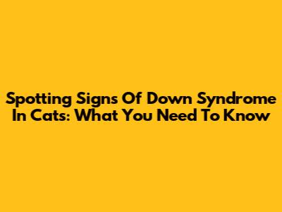 Spotting Signs Of Down Syndrome In Cats: What You Need To Know