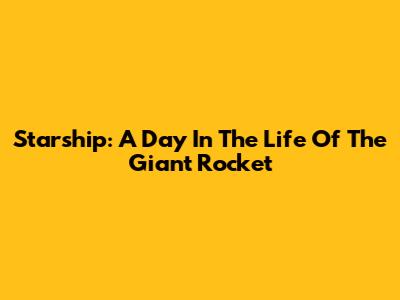 Starship: A Day In The Life Of The Giant Rocket