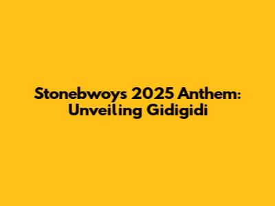 Stonebwoy's 2025 Anthem: Unveiling 'Gidigidi'