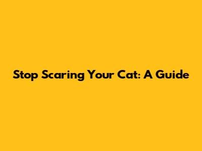 Stop Scaring Your Cat: A Guide