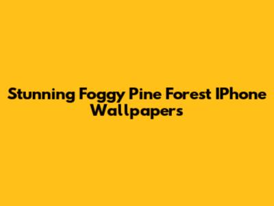 Stunning Foggy Pine Forest IPhone Wallpapers