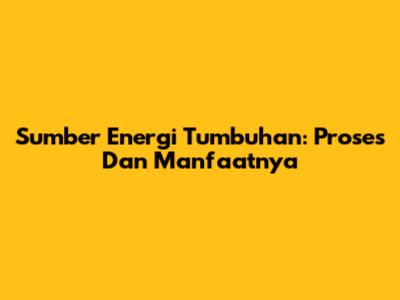 Sumber Energi Tumbuhan: Proses Dan Manfaatnya