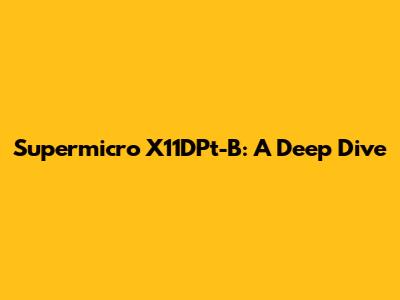 Supermicro X11DPt-B: A Deep Dive