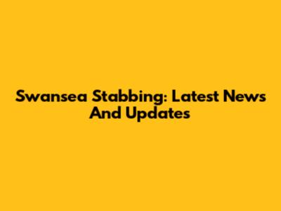 Swansea Stabbing: Latest News And Updates