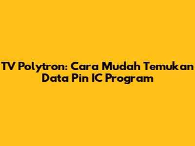 TV Polytron: Cara Mudah Temukan Data Pin IC Program