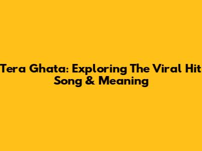 Tera Ghata: Exploring The Viral Hit Song & Meaning