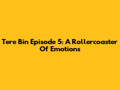 Tere Bin Episode 5: A Rollercoaster Of Emotions