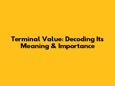 Terminal Value: Decoding Its Meaning & Importance