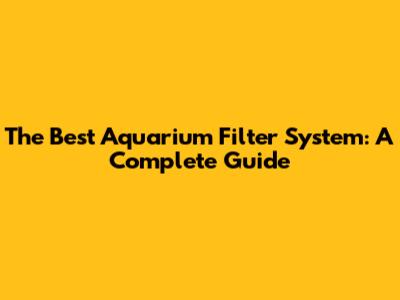 The Best Aquarium Filter System: A Complete Guide