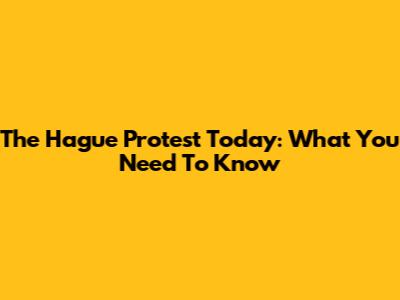 The Hague Protest Today: What You Need To Know