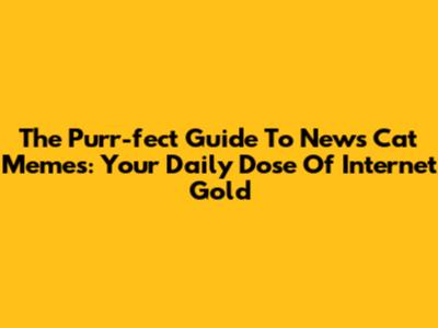 The Purr-fect Guide To News Cat Memes: Your Daily Dose Of Internet Gold