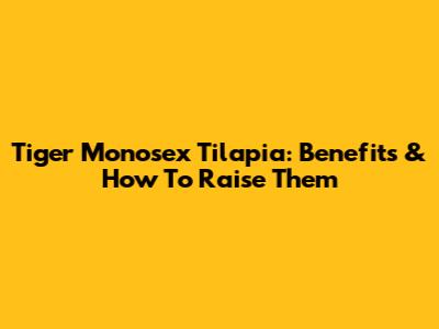 Tiger Monosex Tilapia: Benefits & How To Raise Them