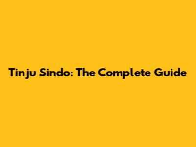 Tinju Sindo: The Complete Guide
