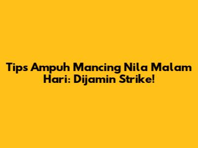 Tips Ampuh Mancing Nila Malam Hari: Dijamin Strike!
