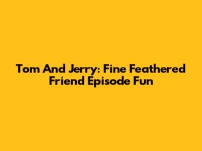 Tom And Jerry: Fine Feathered Friend Episode Fun