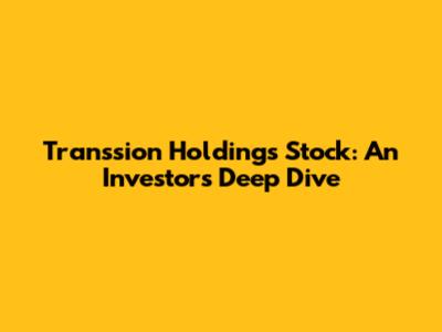 Transsion Holdings Stock: An Investor's Deep Dive