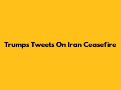 Trump's Tweets On Iran Ceasefire
