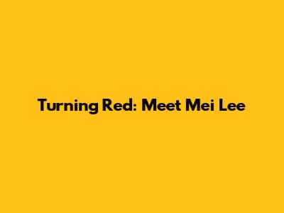 Turning Red: Meet Mei Lee