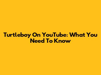Turtleboy On YouTube: What You Need To Know