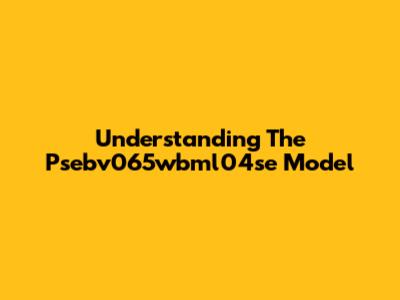 Understanding The Psebv065wbml04se Model