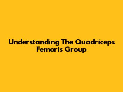 Understanding The Quadriceps Femoris Group