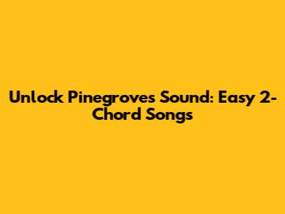 Unlock Pinegrove's Sound: Easy 2-Chord Songs