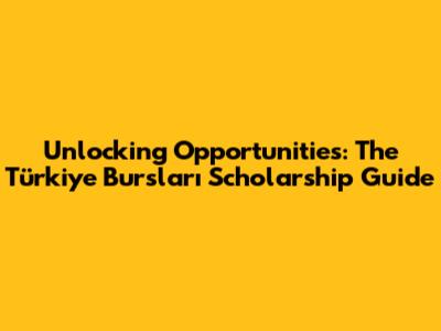 Unlocking Opportunities: The Türkiye Bursları Scholarship Guide