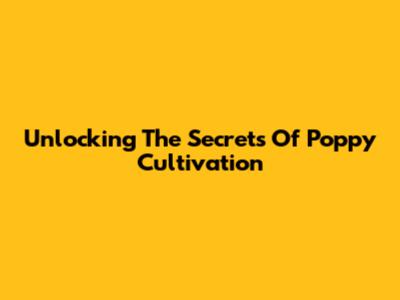 Unlocking The Secrets Of Poppy Cultivation
