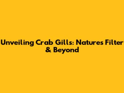 Unveiling Crab Gills: Nature's Filter & Beyond