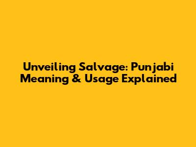 Unveiling Salvage: Punjabi Meaning & Usage Explained