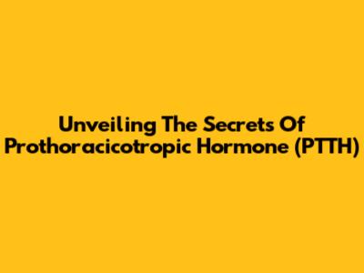 Unveiling The Secrets Of Prothoracicotropic Hormone (PTTH)