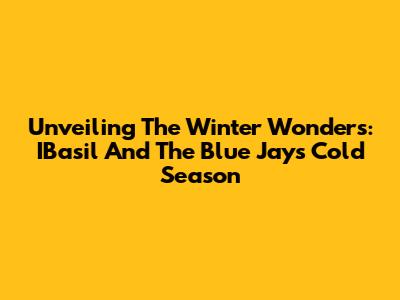 Unveiling The Winter Wonders: IBasil And The Blue Jays' Cold Season