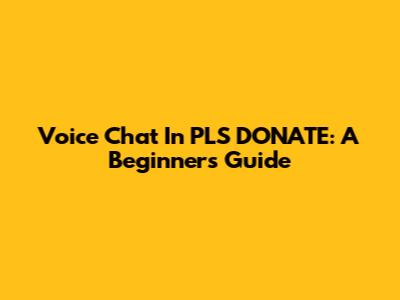 Voice Chat In PLS DONATE: A Beginner's Guide