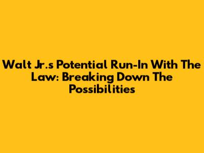 Walt Jr.'s Potential Run-In With The Law: Breaking Down The Possibilities